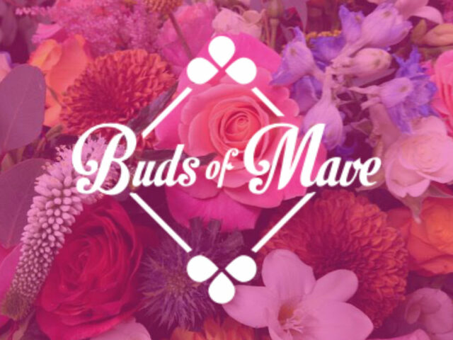 Buds of Mave