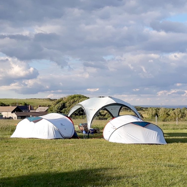 California Meadows logo